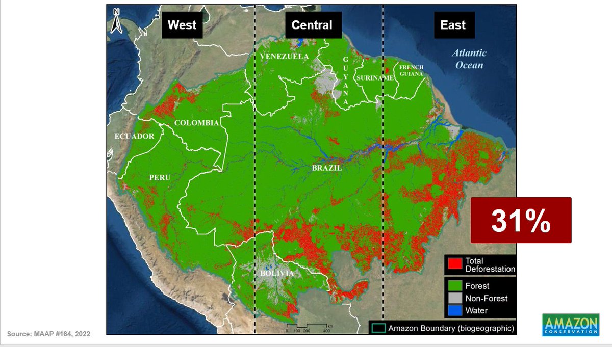 MattFiner's tweet photo. Amazon Tipping Point:
Eastern Amazon (Brazil) has lost >30% of original forest cover, well above modelled tipping point threshold

This will in turn cause down-wind impacts in the Western Amazon (Colombia, Ecuador, Peru, Bolivia)

Amazon is connected, if one part falls, look out https://t.co/gQED0l0EJY