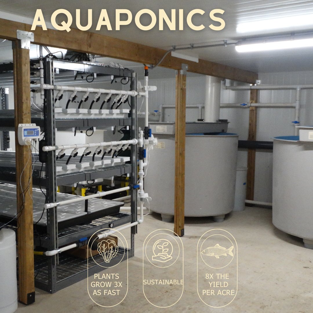 Aquaponics Installation ✔️ Our team is so excited to see these systems come to life! This system in Muskoday First Nation will provide sustainable food security for the community by supplying an abundance of fresh produce and protein! 🐟🥬