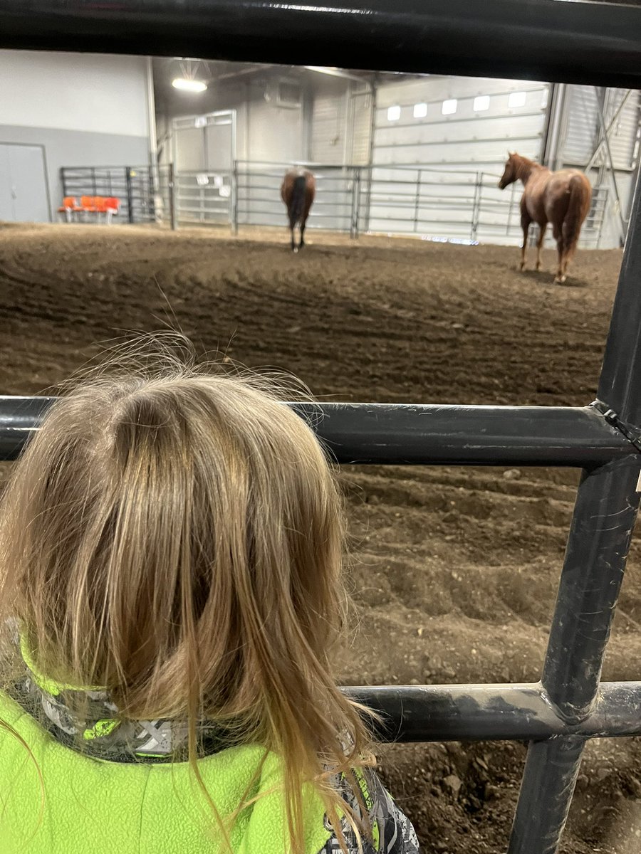 We ate all the food and said hi to all the animals today at @Agribition.