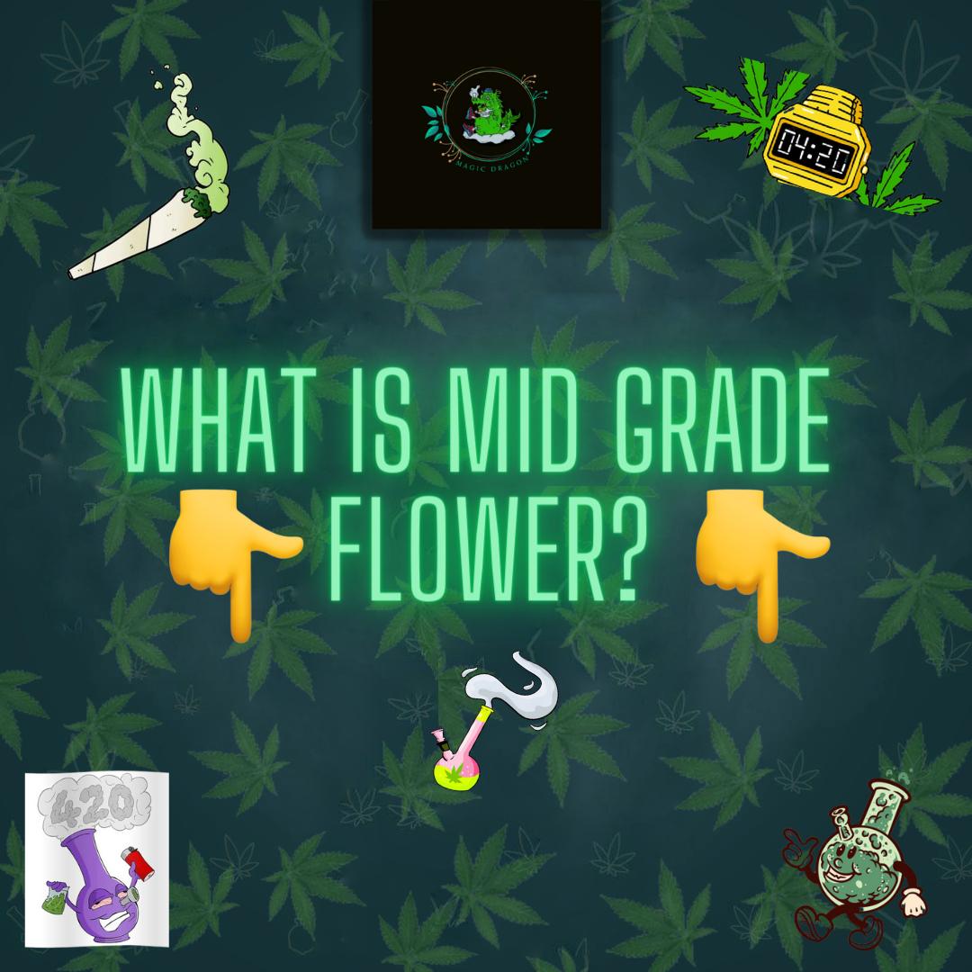 MagicDragonTH's tweet photo. As the name suggests, it’s the midpoint between premium and low quality buds. 

They’re usually green with a decent covering of trichomes.

Mids offer tokers an option with value for money and enjoyable effects.

Read More:
https://t.co/eSTKW3L1Vy

#cannabisindustry #WeedLovers https://t.co/j7J6chGtxJ