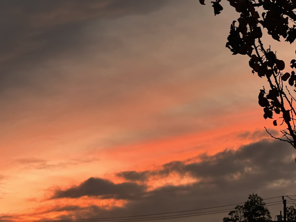 James Wogan LCSW tweet media