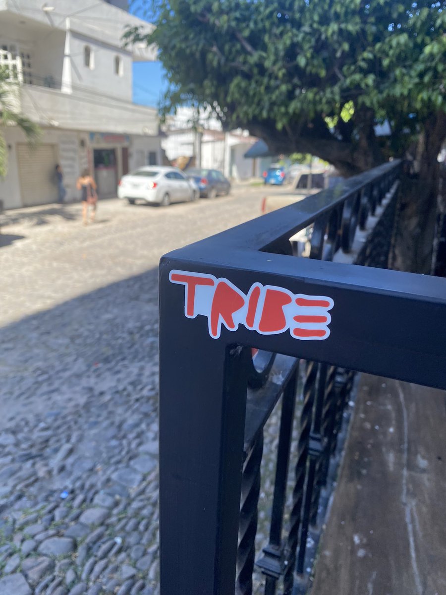 Everywhere I go my #TRIBΞ be with me! Was down in Puerto Vallarta Mexico and was putting up tribe everywhere I went! I think I brought with me over 100 stickers and I only have five left 😅 <a href="/tribeodyssey/">Tribe Odyssey</a> #nft #travel #stickers #love