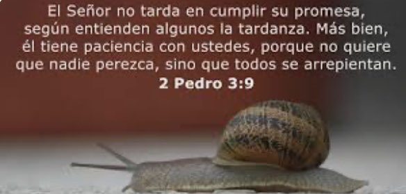 FlorSaenz's tweet photo. Gracias Amado Padre por tu Paciencia https://t.co/vYSpr5wHXV