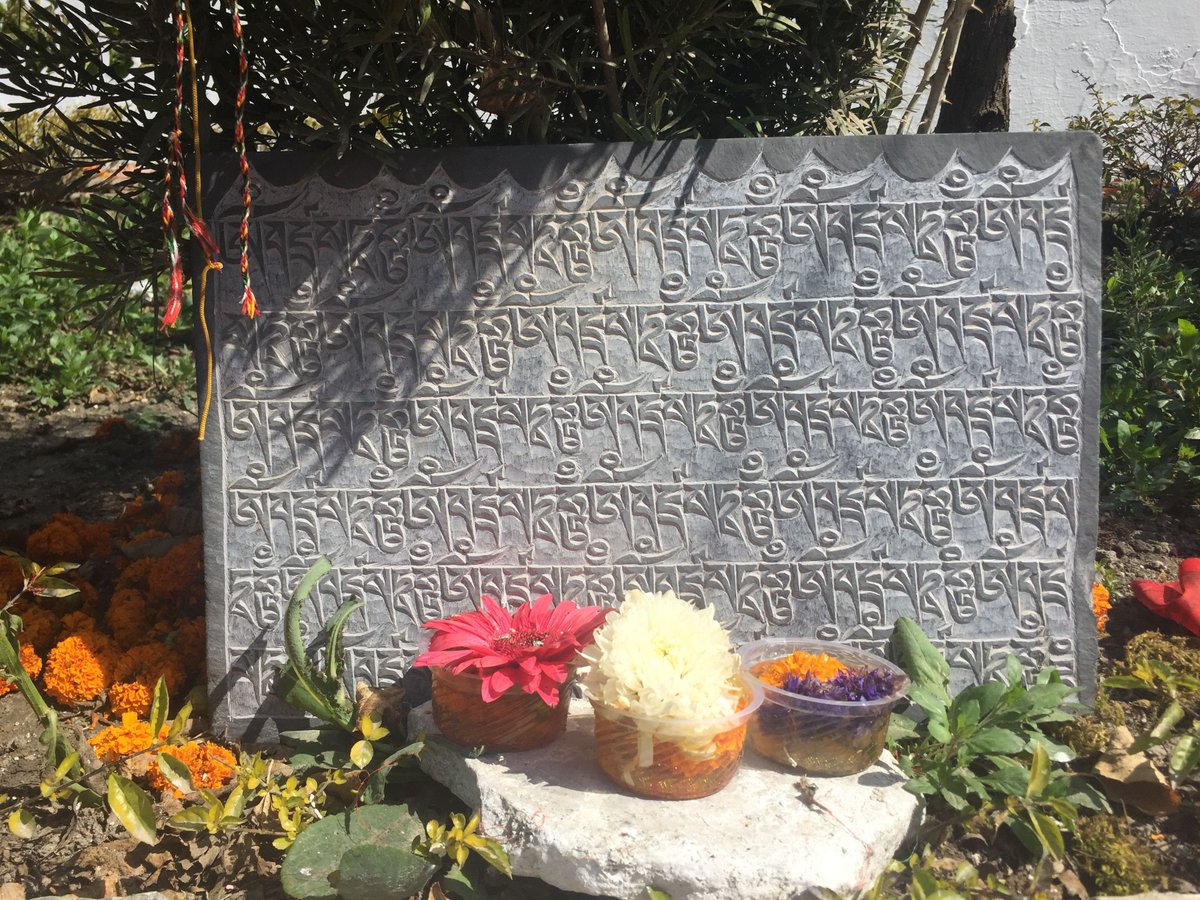 From now until December 31st, Facebook's parent company Meta is matching donations made to eligible non profits. This holiday season, please consider making a recurring monthly donation to Dawn Mountain to help us in our work of bringing spirituality and inner peace to all thr...