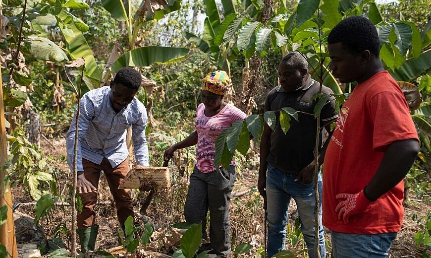 Climate change could put millions at potential risk of food shortage due to different factors such as increasing temperature, mean precipitation, extreme events, drought, heatwaves, carbon dioxide fertilisation, flooding, melting glaciers, tropical storms and sea-level rise.
