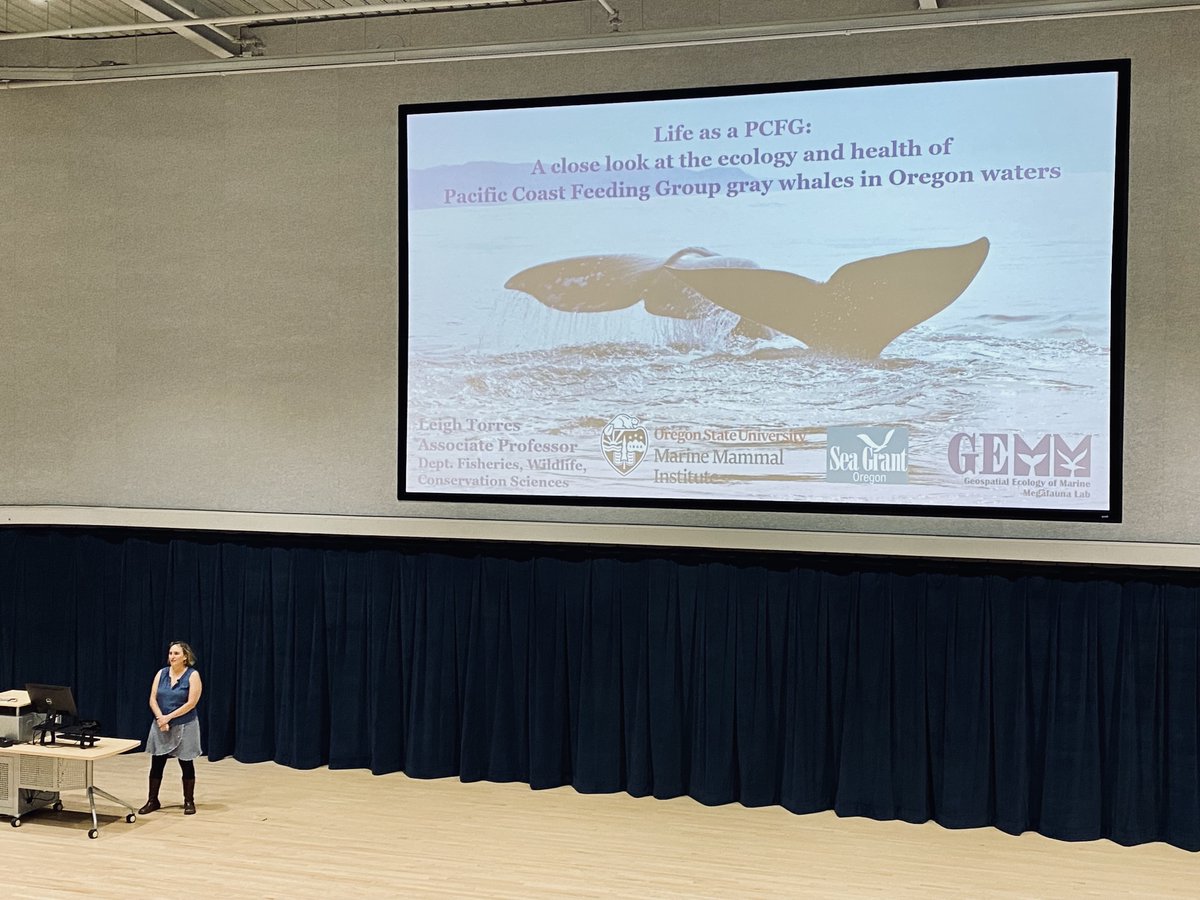 Such a great and inspiring talk last night by Leigh Torres on all the latest research by the @GemmLabOSU on the Pacific Coast Feeding Group (PCFG) #GrayWhales