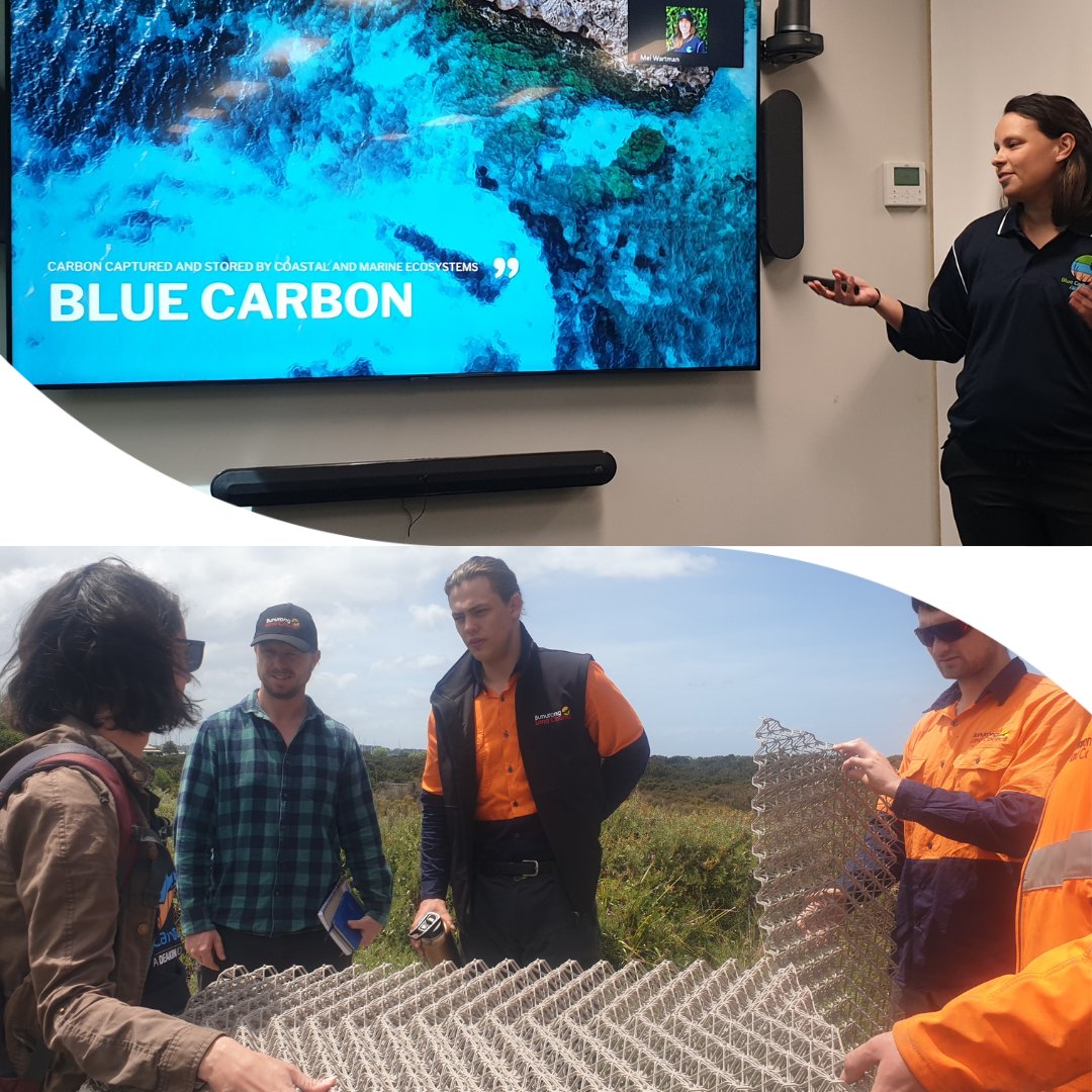 We thank Bunurong Land Council’s Environmental Team for hosting us for a #BlueCarbon &amp; #restoration workshop. We look forward to working with Bunurong TOs and the local communities in protecting and restoring wetlands. 
#ReGenOurCoasts #coastalrestoration #BeachEnergy
