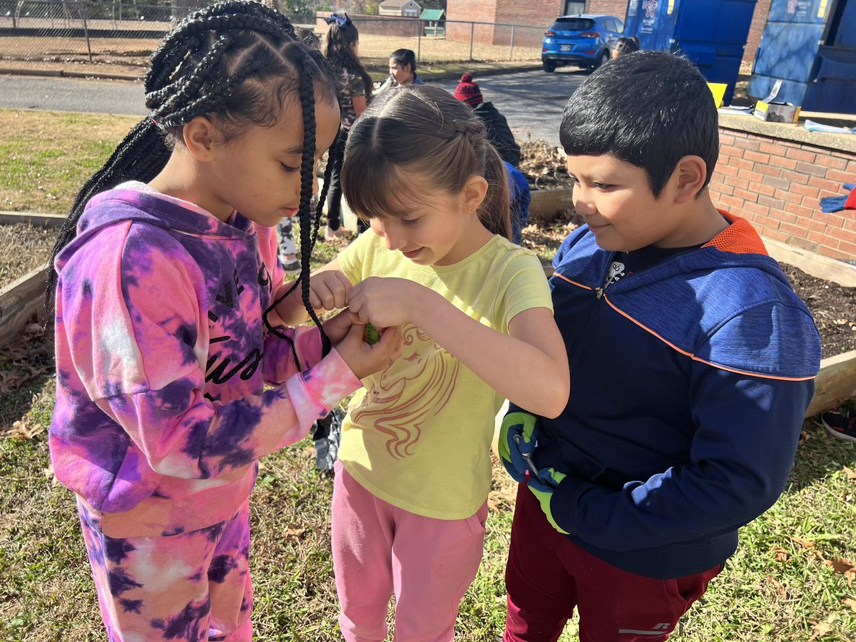 Laura Sicks tweet media