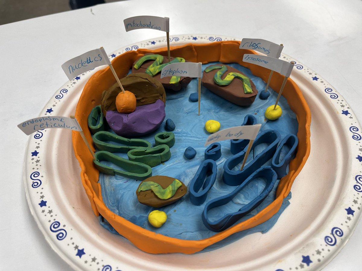 MorSchool tweet media