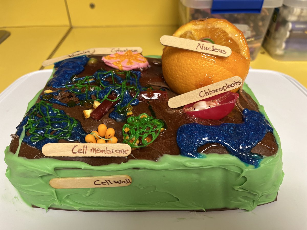 MorSchool tweet media