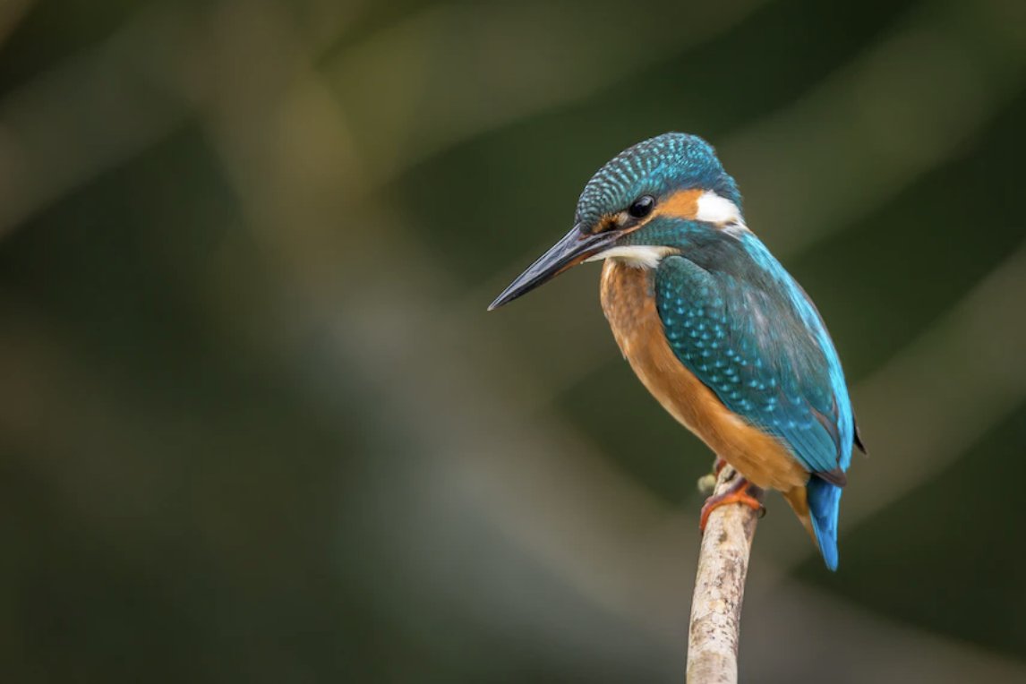 UN Environment Programme New York tweet media