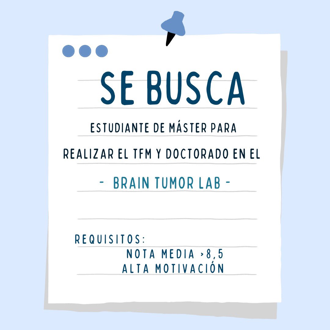 Brain_Tumor_Lab's tweet photo. 🚨SE BUSCA🚨 estudiante de máster que quiera hacer el TFM y comenzar el doctorado en nuestro grupo #BTL

✅Grupo multidisciplinar  
✅ En pleno crecimiento
✅ FIS 2021

Solicitudes por DM o mandando un email con CV a ayusosacido@gmail.com

Se agradece la difusión! 🙏🏼 https://t.co/0Y2o6R8MHk