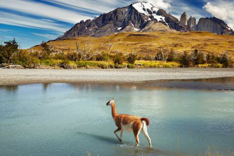 JessAnstee's tweet photo. @BlondiieMama Patagonia https://t.co/zfFJizXPhb