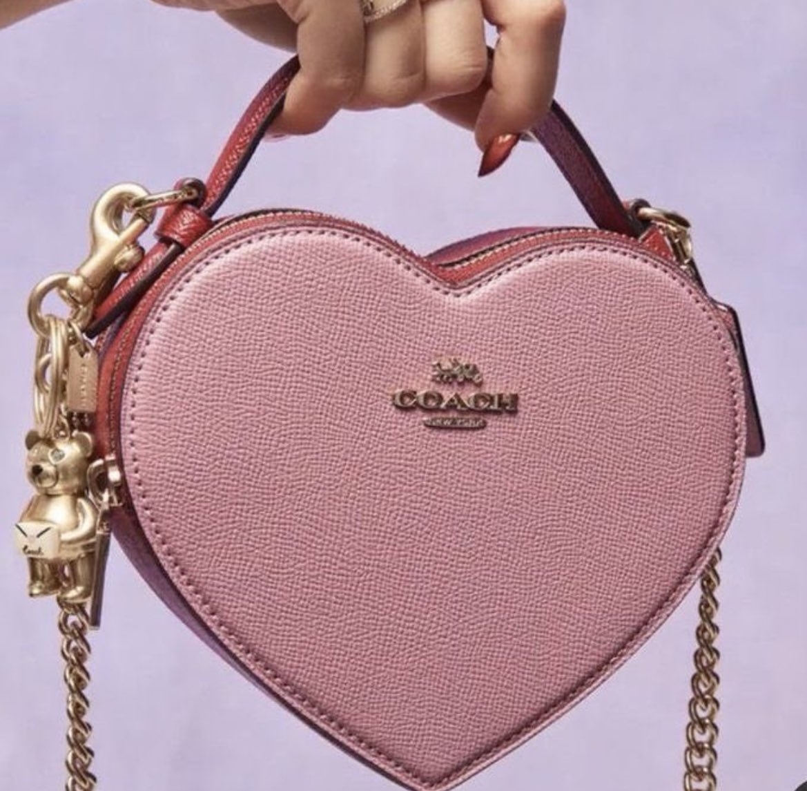 ✭ on X: coach heart crossbody bag  / X