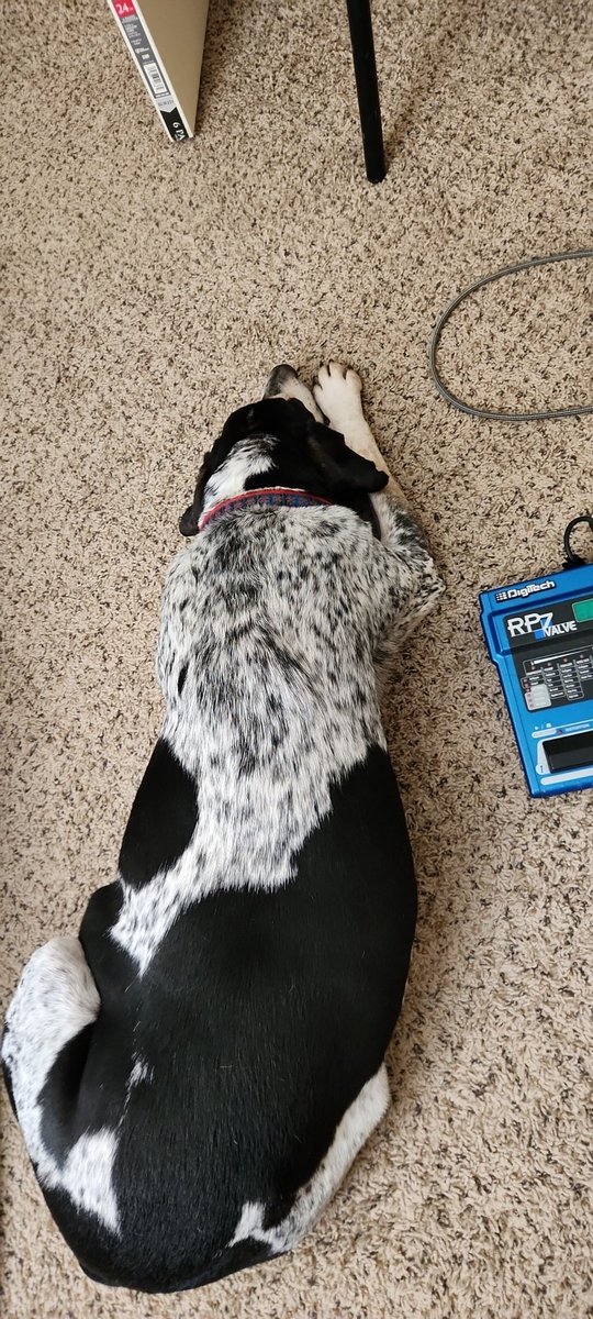 sQueeGee_Onair's tweet photo. So, I'm upstairs recording some spots and after I get done mixing one, I hear a noise.  What was that? Turns out it was Stuart snoring.  I'm sorry. Am I boring you? #bluetickhound #VOX #voiceover #forhire https://t.co/vugMkAYz69