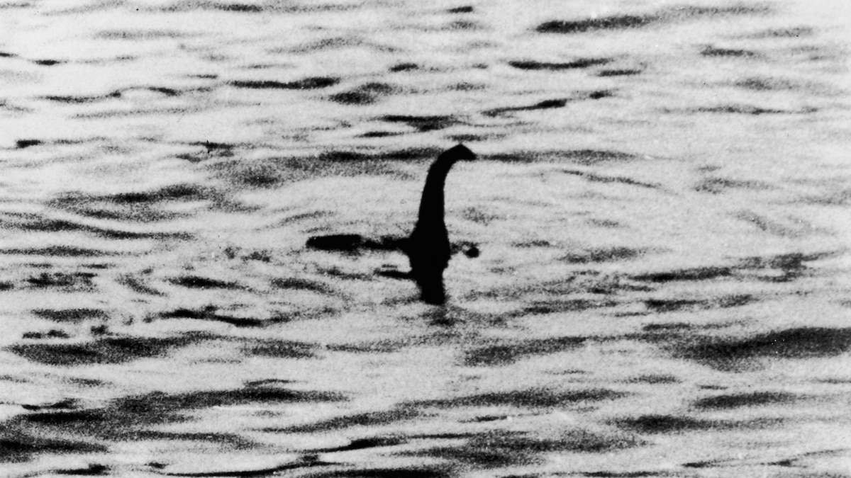 Enigmatidotca's tweet photo. How Nessie and the Yeti birthed a global cryptid-chasing industry - National Geographic https://t.co/Xi2CBHCd02 https://t.co/brYMxTl9jN