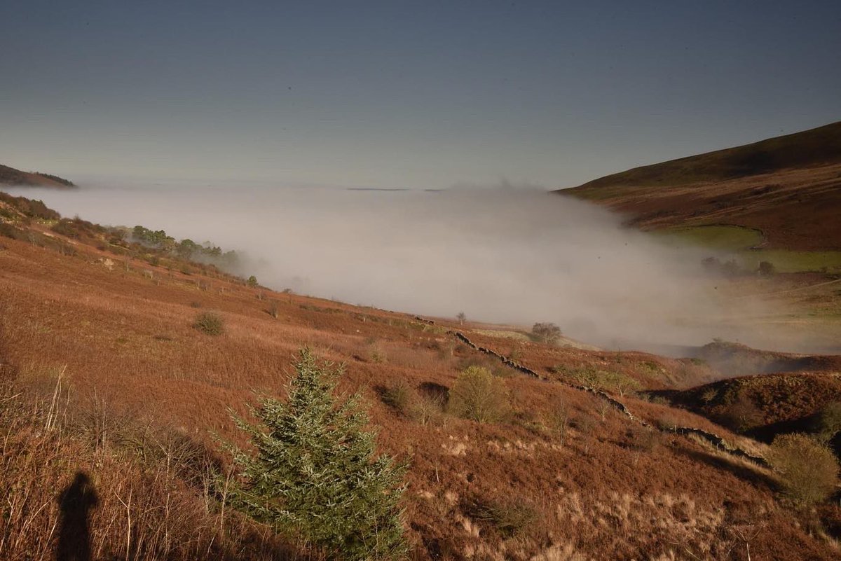 MatthewCPhotos's tweet photo. Fog engulfing Gyn Tarell, Brecon Beacons #GlynTarell #BreconBeacons #BreconBeaconsNationalPark #Libanus #Brecon #StoreyArms #A470 #LandscapePhotography #AerialPhotography #Fog #AutumnScenery https://t.co/y1BX4HE74c