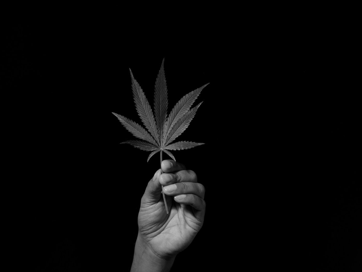 WM Policy tweet media