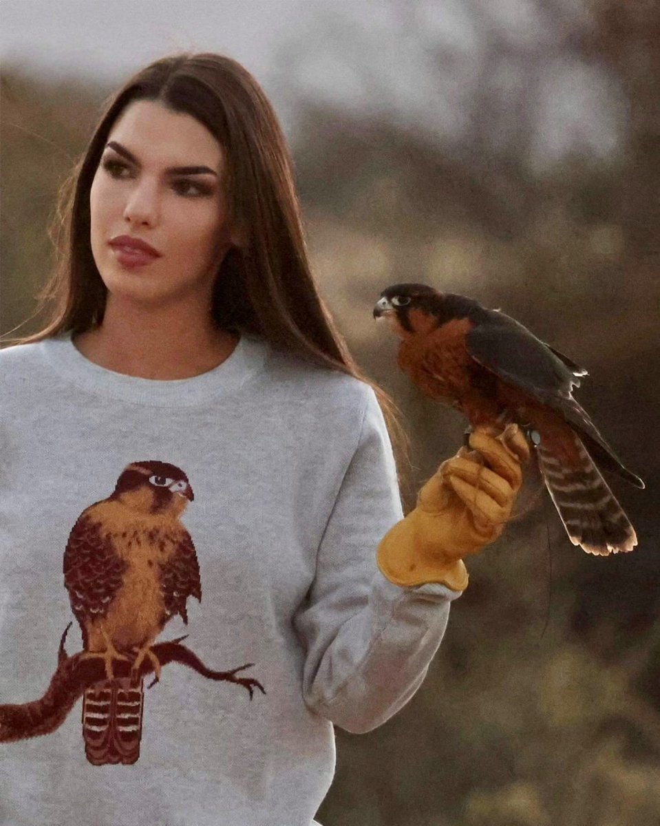 Knitwise_Inc's tweet photo. Take your feathered friends wherever you go with an im-peck-able customized sweater from Knitwise 🦜 It’s the perfect holiday gift for yourself and for everyone on your list 🎁 #knitwise #holidaygifts #BirdsOfTwitter https://t.co/2VbS57dR1z