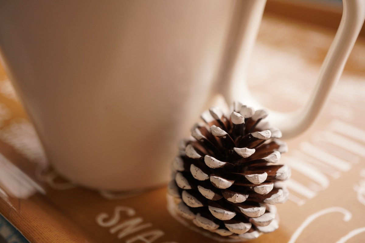 coffee_letter's tweet photo. 初雪も歓喜に溶けて行きそう。
日本すごい!
#コーヒーのある生活
#WiredBeans
#ワールドカップ日本 https://t.co/nq64YFAUcg