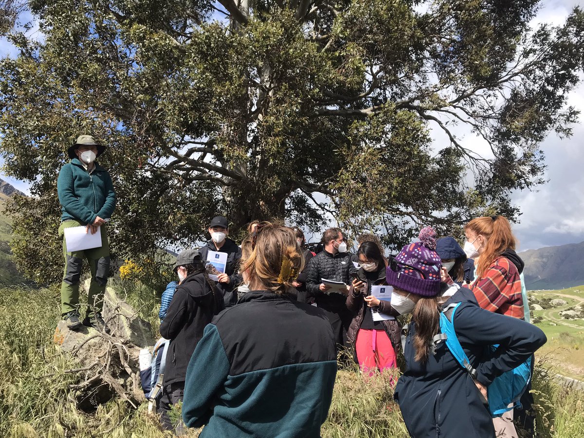 Calla Gould-Whaley tweet media