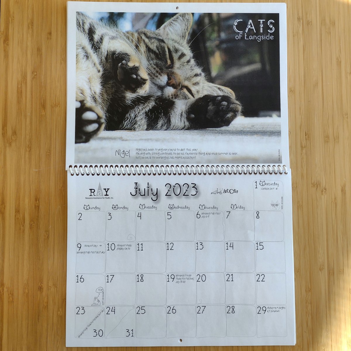 OneSpoiledKitty's tweet image. 2023 Cats of Langside Calendar ($20) to support Resource Assistance for Youth, Inc. (RaY) &amp;amp; Art City!

Available in-store at One Spoiled Kitty, 1325 Portage Avenue in #winnipeg #onespoiledkitty