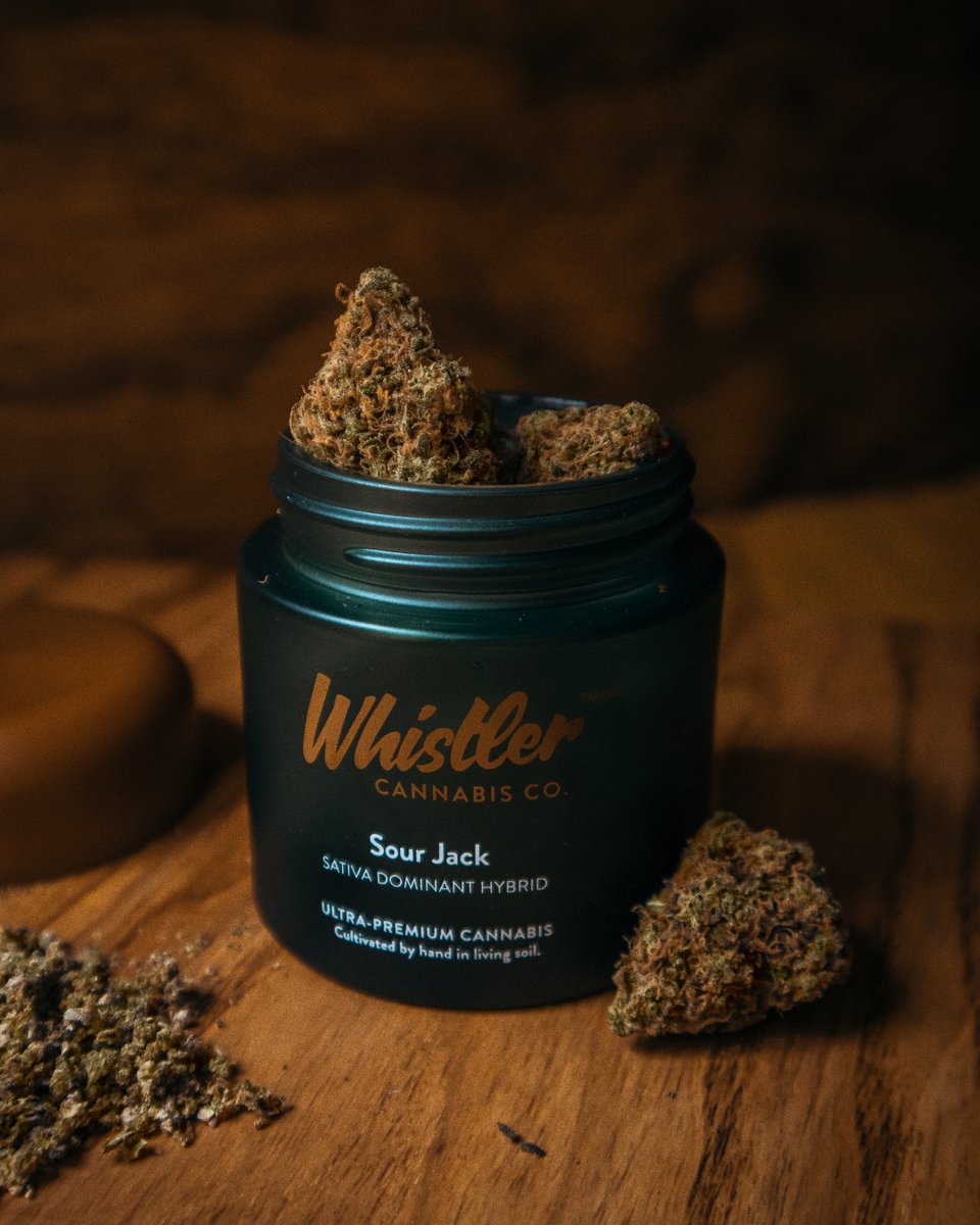 Sour Jack is a craft flower that inspires as much as it impresses. Bred from highly coveted Sour Diesel and Jack Herer genetics, with gorgeous, hand-manicured buds full of tropical fruit and fuel fragrances.