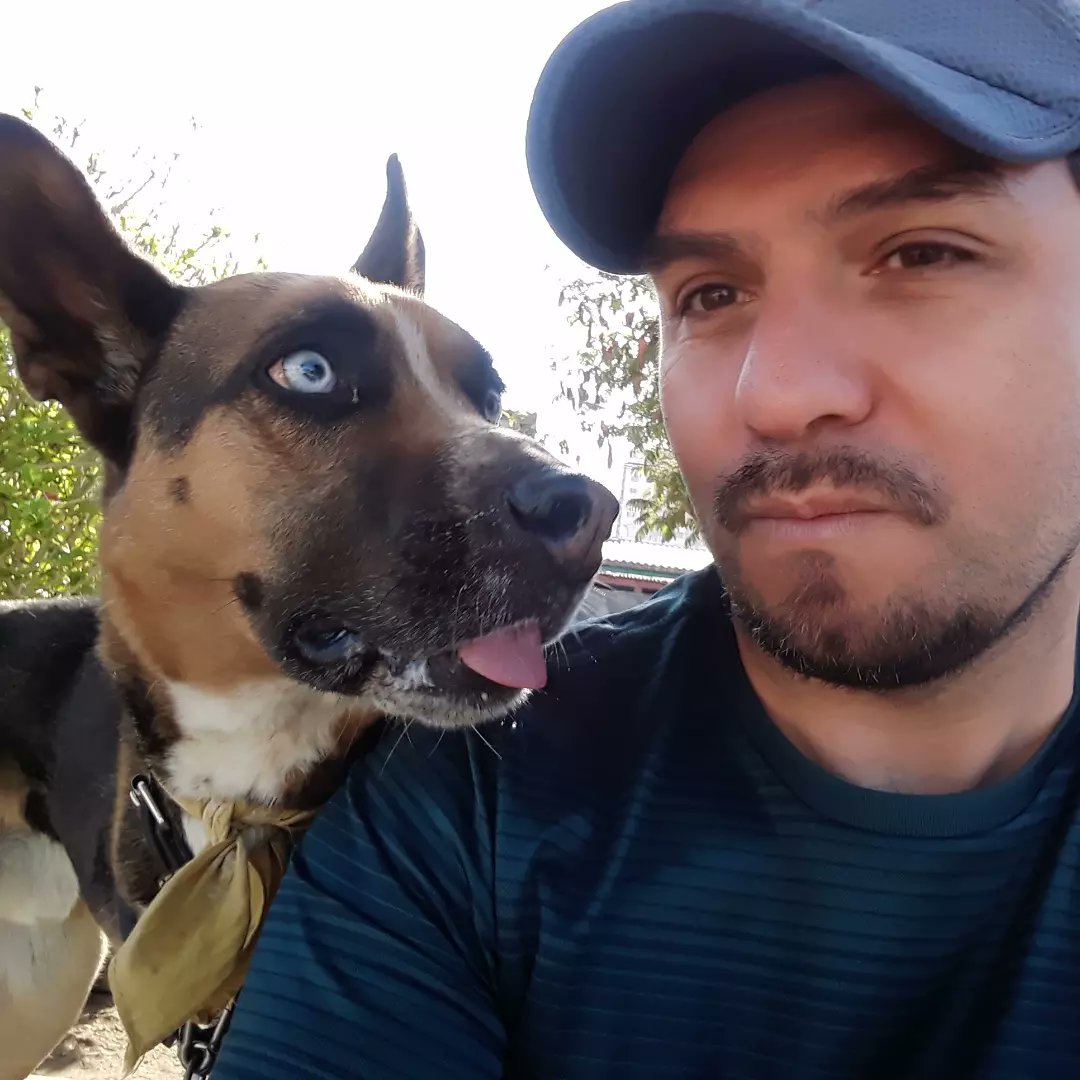 tom_ratm_237's tweet photo. La secuencia 🤣
🐶👅🐸
Lemmy
#Perritos #PerrosRescatados #PerrosAdoptados #TenenciaResponsable #adoptanocompres #Amputee #tripoddogs #Tripawds https://t.co/PrZWtOZQwK