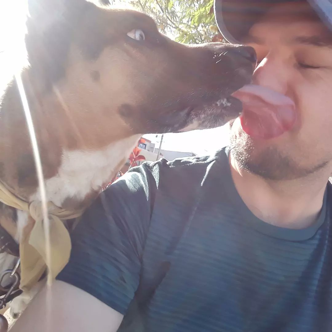 tom_ratm_237's tweet photo. La secuencia 🤣
🐶👅🐸
Lemmy
#Perritos #PerrosRescatados #PerrosAdoptados #TenenciaResponsable #adoptanocompres #Amputee #tripoddogs #Tripawds https://t.co/PrZWtOZQwK