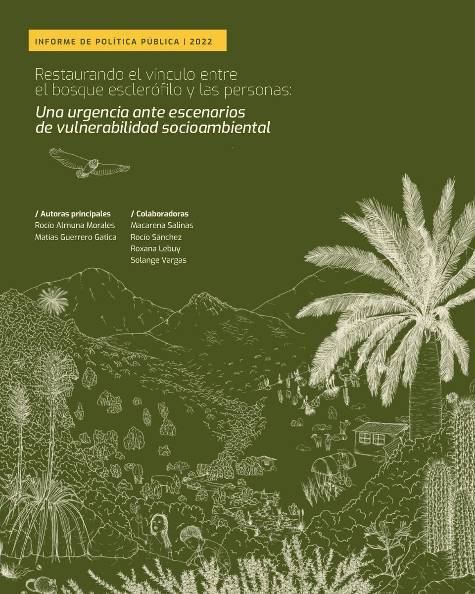 📚Informe de Política Pública busca restaurar el vínculo entre el bosque esclerófilo y las personas, desde un enfoque transdisciplinario, socio-ecológico y de género, para aportar al bienestar humano de comunidades locales y del ecosistema. 
ieb-chile.cl/informes/polic…