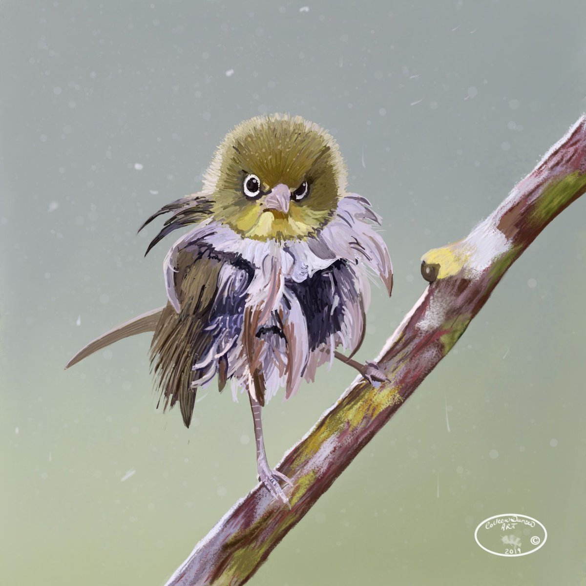 sketchclubapp's tweet photo. 2022 top entrIes from the 'Animals' group~

By: sketchclubdeb, carried1234, mariejosé, colleen

#fox #owl #cat #sheep #sketchclubapp #ipadart #iphoneart #digitalart https://t.co/rOd7dL5QiK