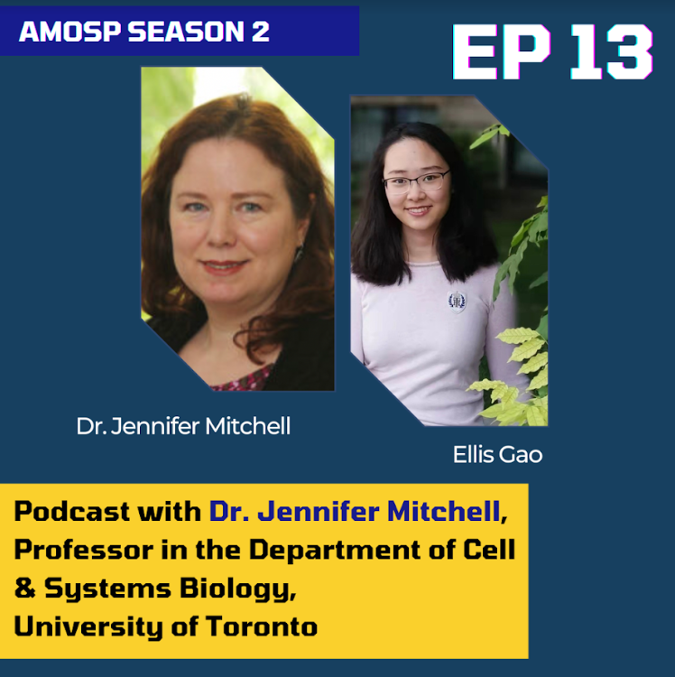 AmospUoft's tweet photo. Learn about how Dr. Jennifer Mitchell, Professor in the Department of Cell &amp; Systems Biology, embarked on her current research path in genomics and developmental biology! Listen to our new episode only on: https://t.co/D3bhOcyHUe https://t.co/1yEfaGvNBf