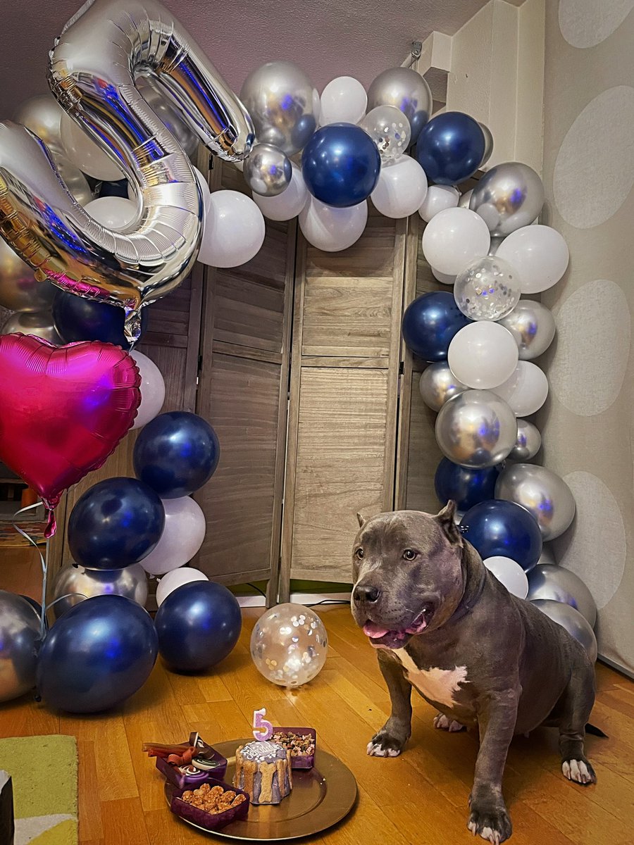 La reina de la casa hoy cumple años!!
Felicidades hermosa! 💕
#bali