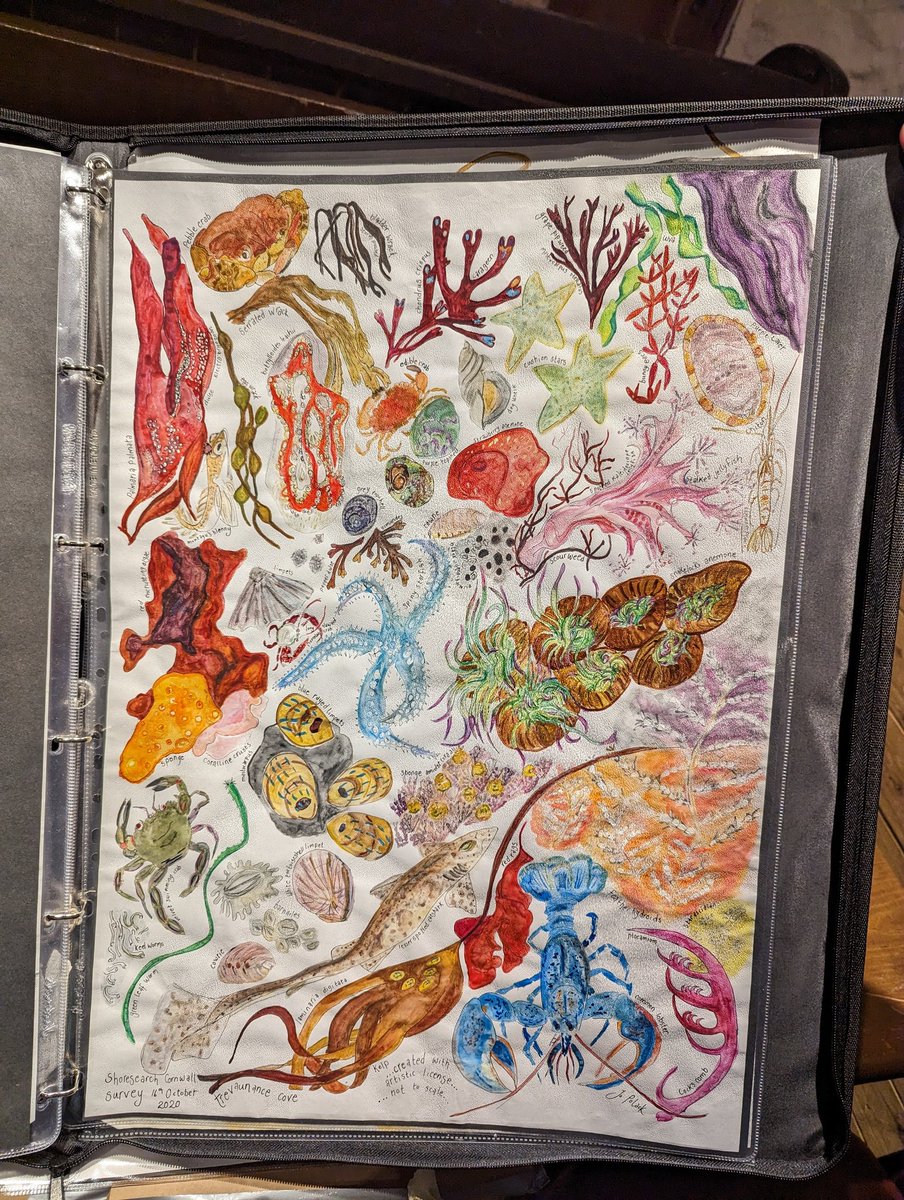 Tancau Ciprian tweet media