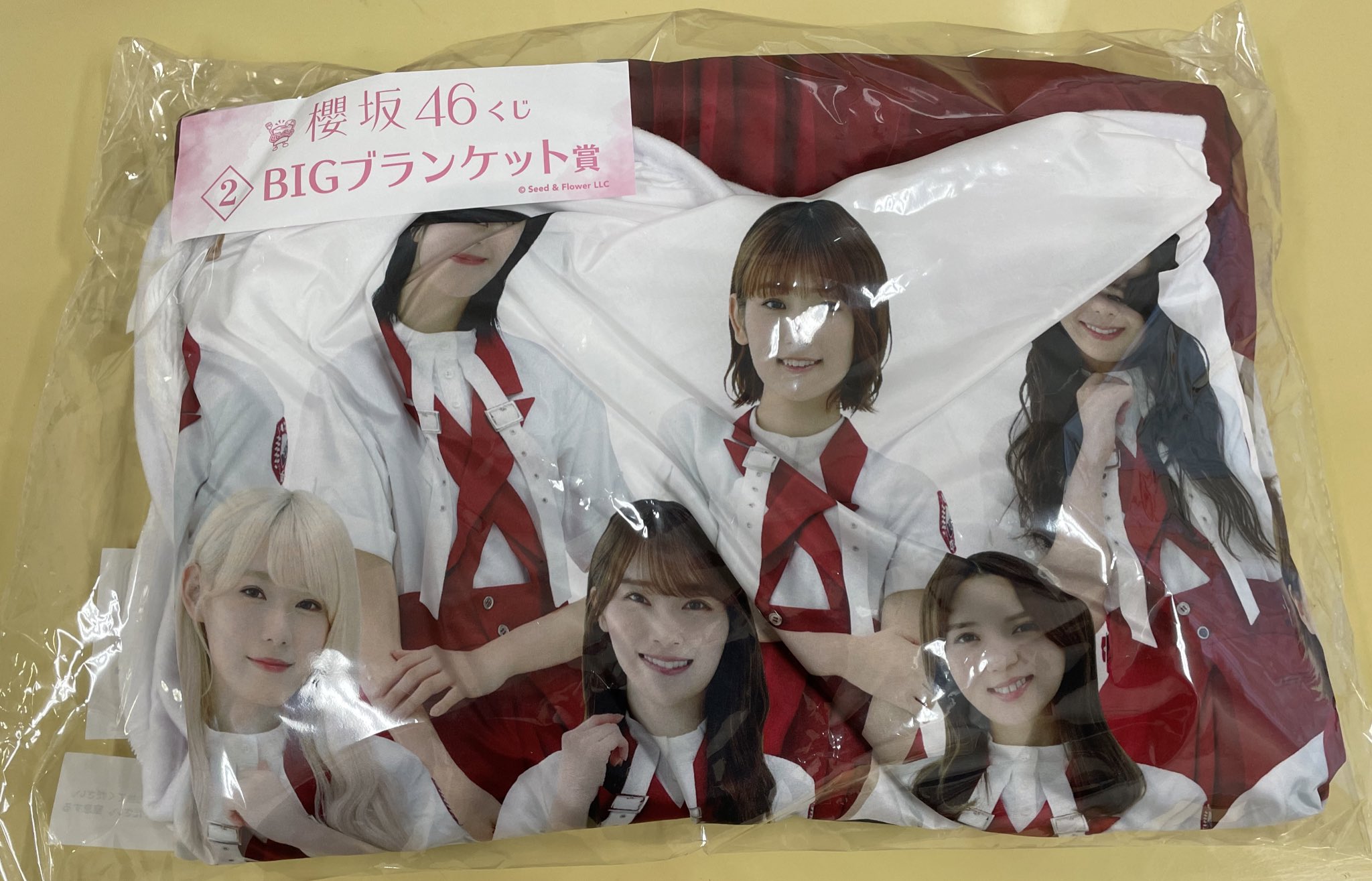 ちき🌸◢͟￨⁴⁶ on X: 