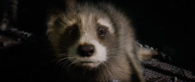 i speak for the internet when i say we would die for him