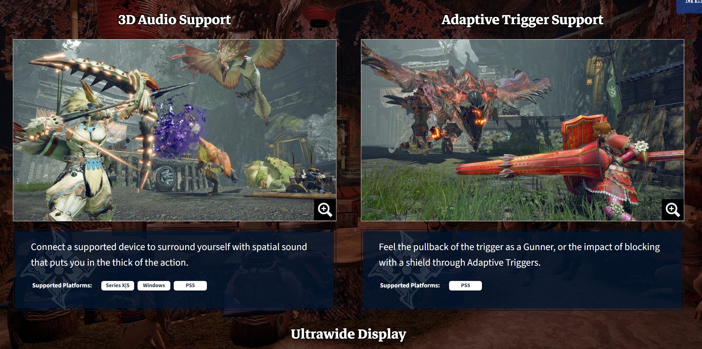 Is Monster Hunter Rise crossplay and crossplatform?