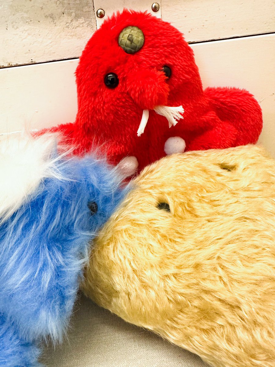 mononokekanko's tweet photo. おはようございます☺️
急に寒くなりましたね。あったかくして出かけましょう🧣
画像は『てんぐるみ・毛んし・sagari  もふもふの大決闘』より。中に挟まりたい😌
#てんぐアート #手んし #seto https://t.co/BXpcIfZevI
