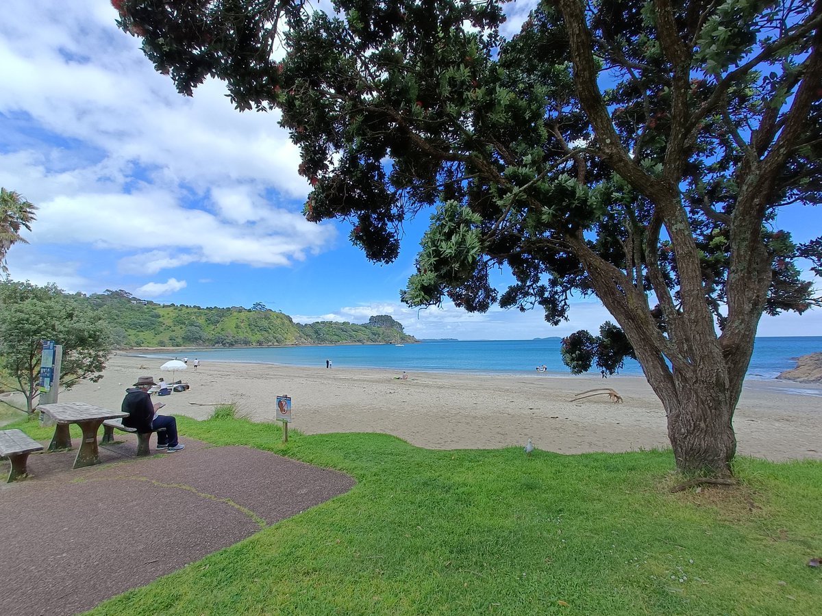 GrumpySommelier's tweet image. Office for the day

#newzealand #touchinggrass #waiheke