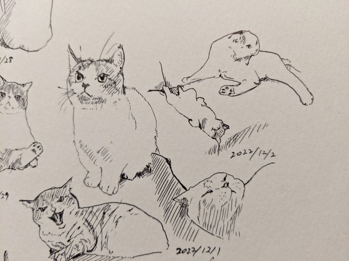 小さな声で言うで BRAVO!!!!!(長友佑都) カキカキ。 