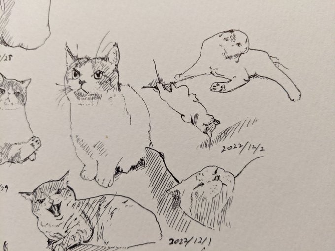 小さな声で言うで BRAVO!!!!!(長友佑都) カキカキ。 