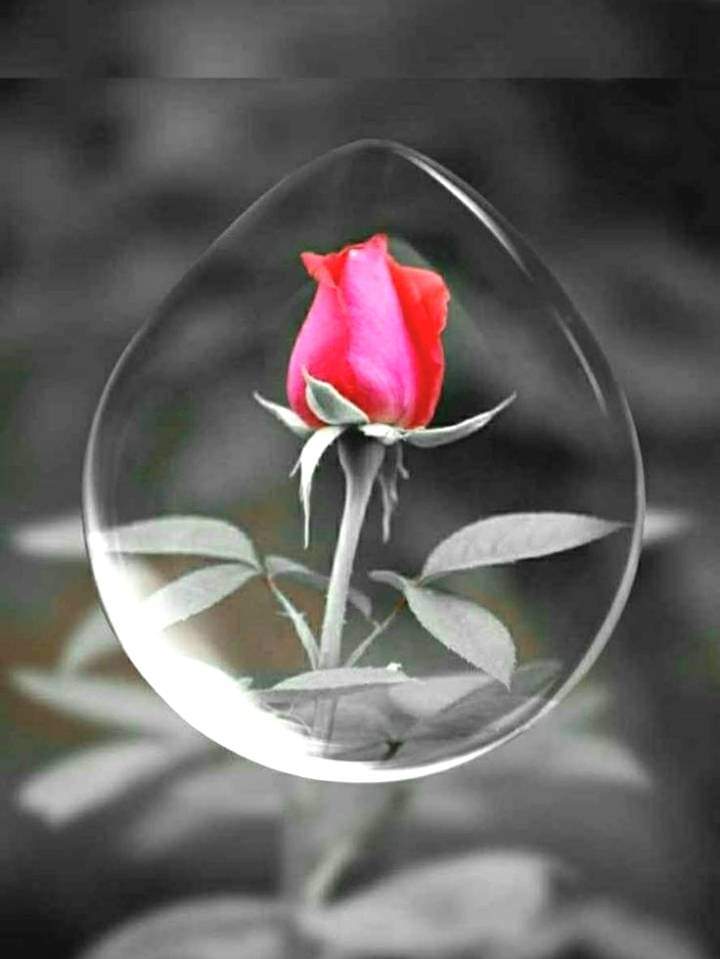 Thanks dear xx friends  ❤️