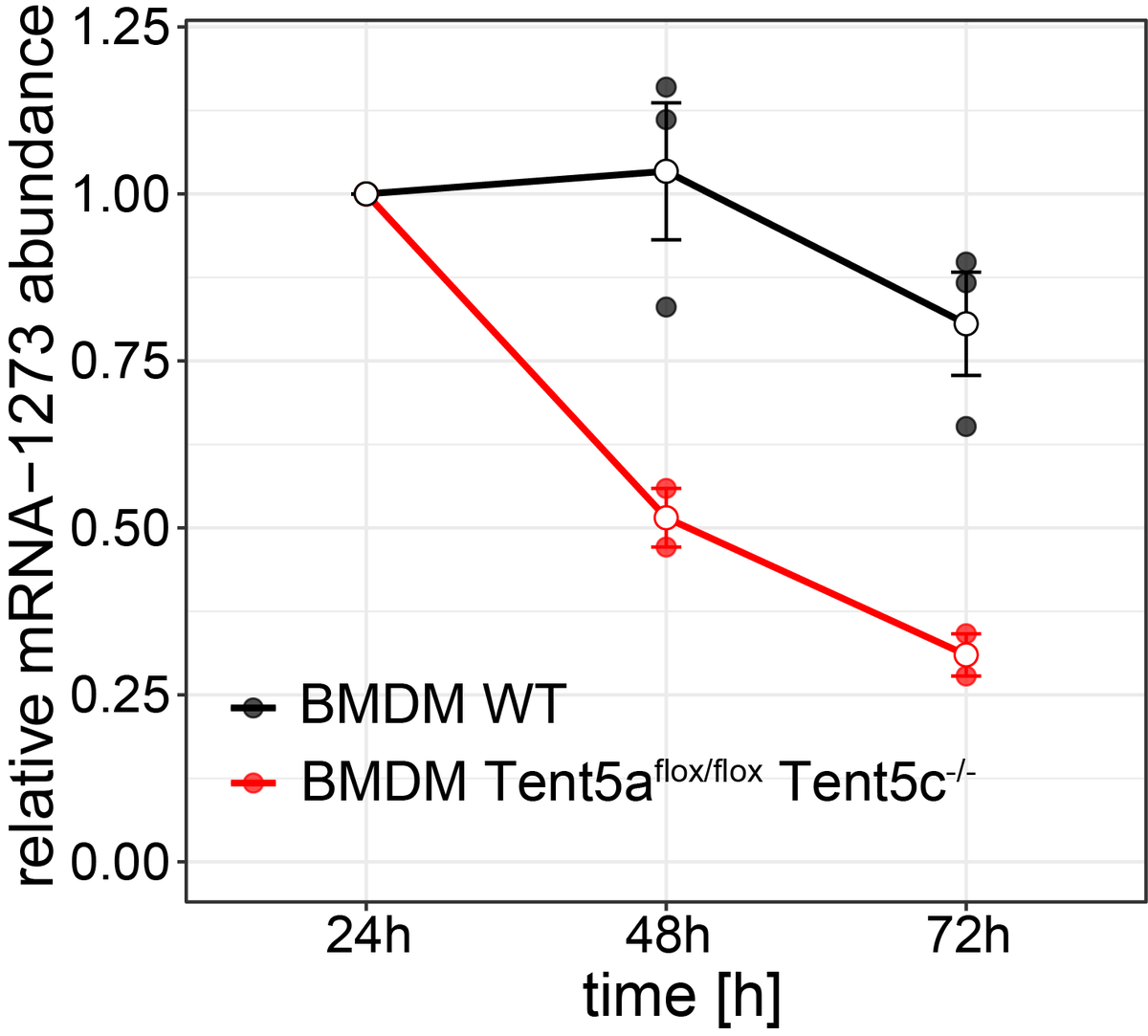 pakraw's tweet photo. Indeed, in #BMDMs devoid of #Tent5a and #Tent5c we did not observe #polyA tail elongation for #mRNA-1273 and other endogenous transcripts, but rather #deadenylation leading to lower vaccine #RNA stability. 10/n https://t.co/OqE1G68LyP