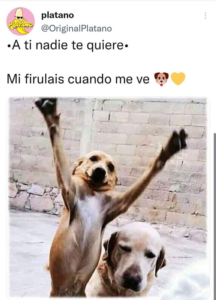 El me ama sin dudarlo ❤️🐶