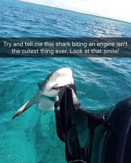 TW Pornstars - Coco Loca. Twitter. 5:02 AM - 4 Dec 2022