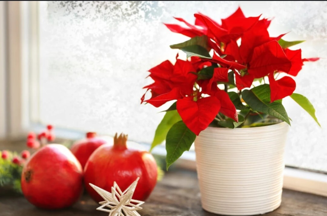 Hab mal ne Frage an euch, wie bekomme ich das Sponsorn unterm Beitrag von mir weg? 🤔 💭
Bitte um Hilfe! 😘