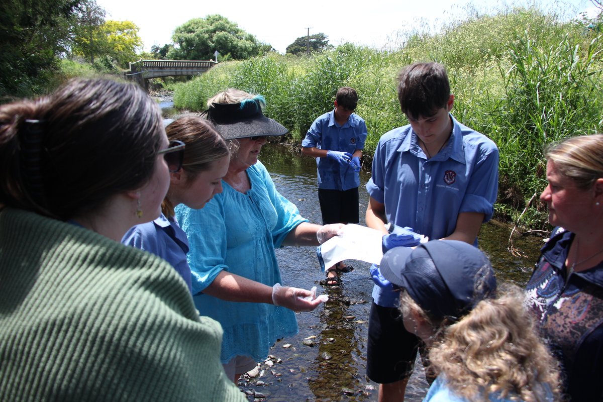 manawatudc's tweet image. On this week's episode of 'What Have You Done For Us Lately?', Ben sat down for a chat with Bessie Nicholls from the Awahuri Forest-Kitchener Park Trust. 
open.spotify.com/episode/1PSkPF…