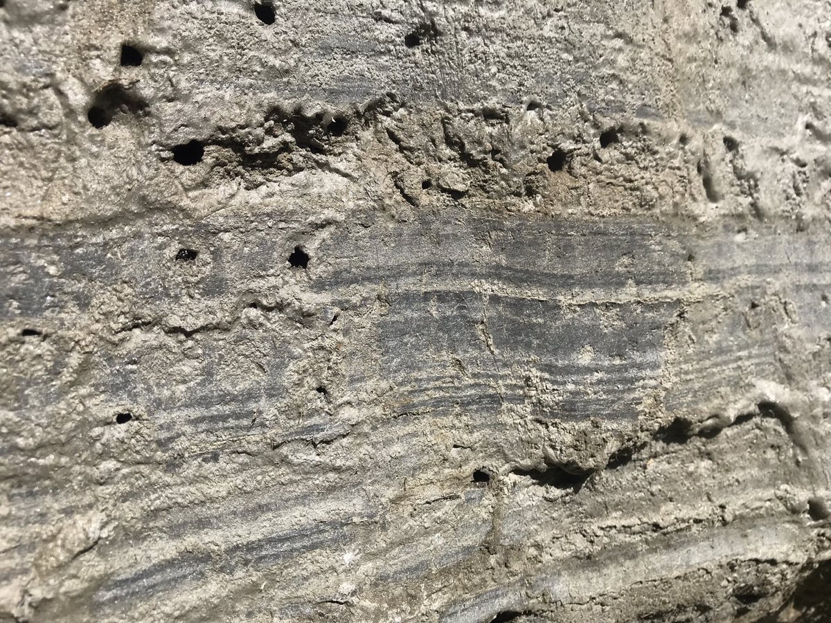 Calla Gould-Whaley (@cgouldwhaley) on Twitter photo Inspecting a mega-size palette of nature’s eyeshadow aka varve! #GEOG30023
<a href="/UniMelb/">University of Melbourne</a> @AlissaJF <a href="/AgatheLP/">Agathe Lisé-Pronovost</a> Inspecting a mega-size palette of nature’s eyeshadow aka varve! #GEOG30023
<a href="/UniMelb/">University of Melbourne</a> @AlissaJF <a href="/AgatheLP/">Agathe Lisé-Pronovost</a>