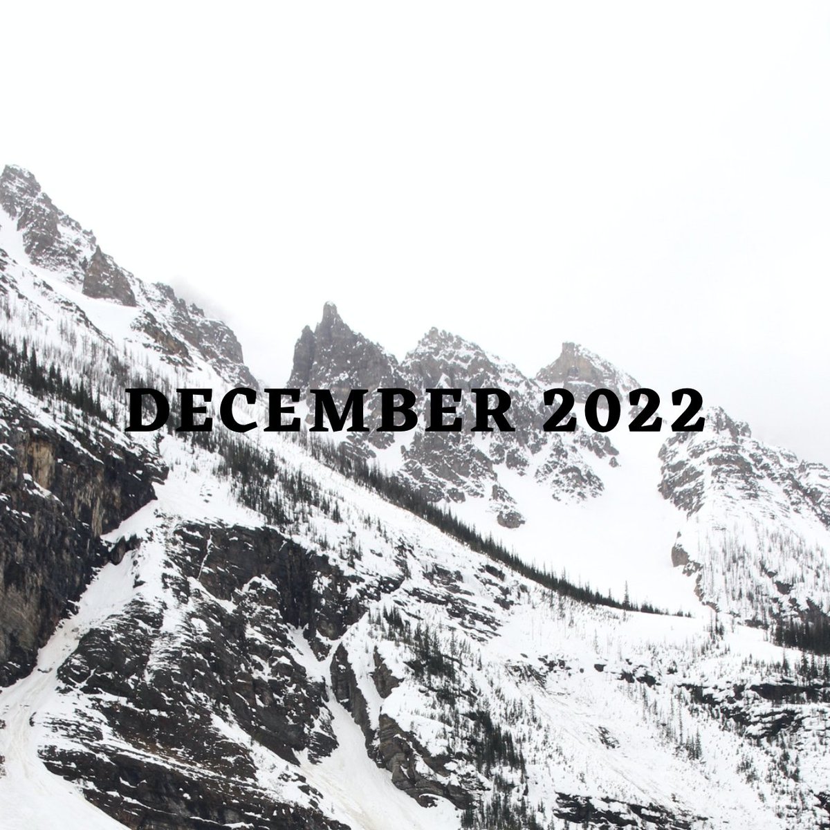 December in Capitol Hill 🎄 - mailchi.mp/58cfc17e4383/l…