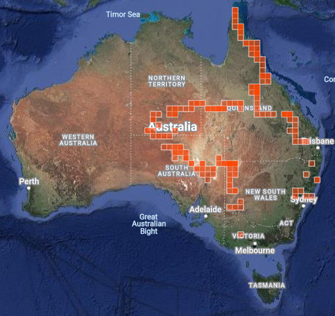 arthur_chapman's tweet photo. Finished loading the photos of plants and animals, etc. to #iNaturalist from my last long expedition.
Stats: 18,000 km
          8,246 plant and animal photos
          2,356 separate observations
          887 species (651 plants, 139 birds, 62 insects, 11 mammals, + others) https://t.co/YYtpT2jiMH